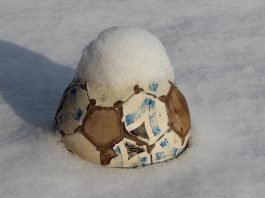 RINVIO GARE 22-23 NOVEMBRE 2025