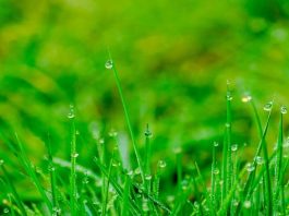 RINVIO GARE 20-21 novembre 2019