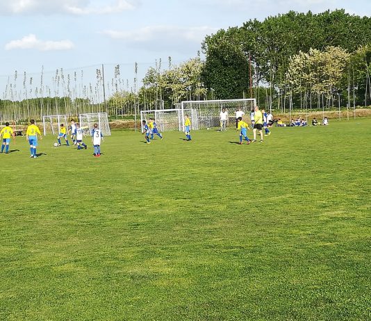 ATTIVITÀ DI SVILUPPO TERRITORIALE Esordienti