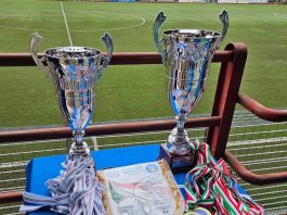 BORGOSESIA CALCIO Campione Categorie Under 15 e Under 14