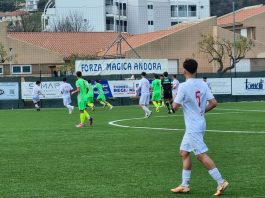 TORNEO DELLE REGIONI : categoria UNDER  17