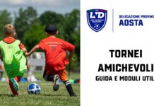 TORNEI E AMICHEVOLI, guida e moduli utili s.s. 2026-2027