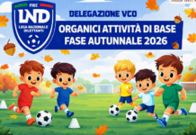 ORGANICI ATTIVITÀ DI BASE FASE AUTUNNALE 2026